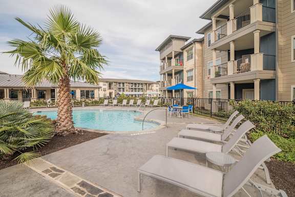 Pool Area with Palm Tree at Legacy Flats Apartments, San Antonio, TX, 78254