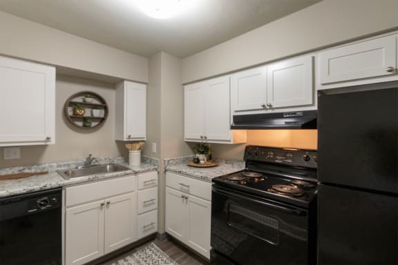 Fully Equipped Kitchen With Modern Appliances at Aspen Village, Ohio, 45238