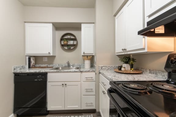 Efficient Appliances In Kitchen at Aspen Village, Cincinnati, OH
