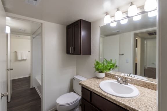 Large bathroom Space at The Biltmore, Dallas, TX, 75231
