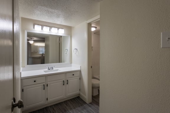 This is a photo of the bathroom in the 450 square foot efficiency apartment at Cambridge Court Apartments in Dallas, TX.