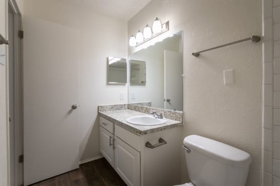 This is a photo of the primary bathroom of the 880 square foot 2 bedroom, 2 bath apartment at Canyon Creek Apartments in Dallas, TX