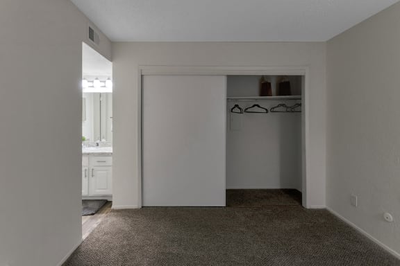 This is a picture of the large closet in the bedroom.