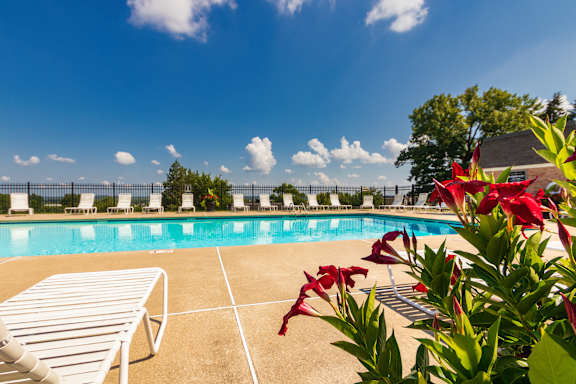 A pool surrounded by white lounge chairs and flowers at Fairfield Pointe Apartments in Fairfield, Ohio.