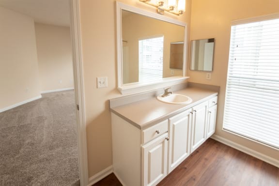 This is a photo of the primary bathroom in the 1255 square foot, 2 bedroom, 2 bath LIghthouse floor plan at Nantucket Apartments in Loveland, OH.