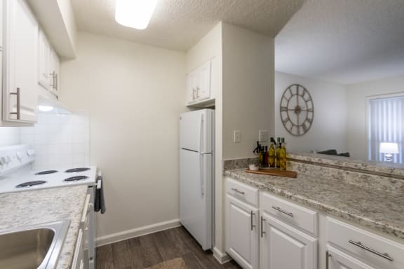 Kitchens With Ample Storage at Princeton Court, Dallas, TX