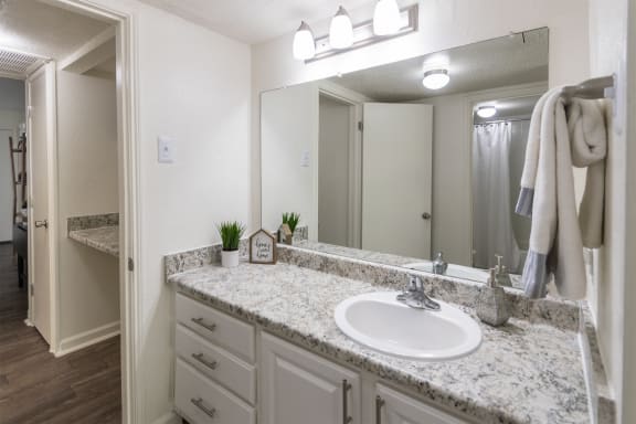 Oval Tub With Combo Shower at Princeton Court, Dallas, 75231