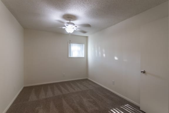 Wall-To-Wall Carpeting at Princeton Court, Texas