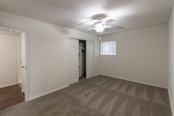 Trendy Master Carpeted at Princeton Court, Dallas, 75231