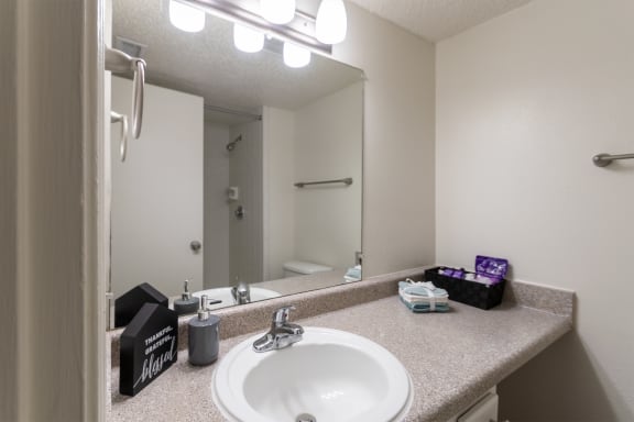Primary Bathroom With Vanity Lights at Princeton Court, Dallas, 75231