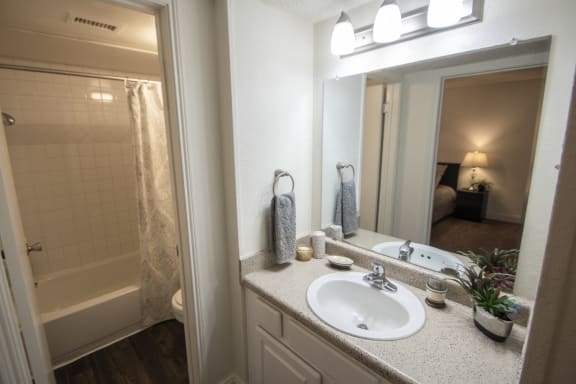 Custom Look Bathroom at Princeton Court, Texas, 75231