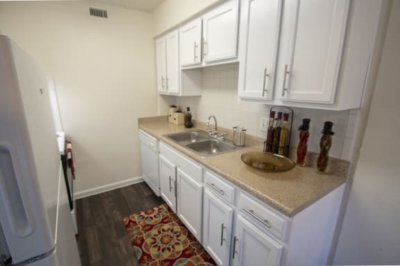 Kitchen Cabinets  at Princeton Court, Texas