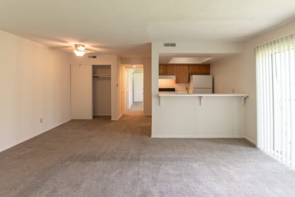 Carpeted Living Area at Village East, Franklin