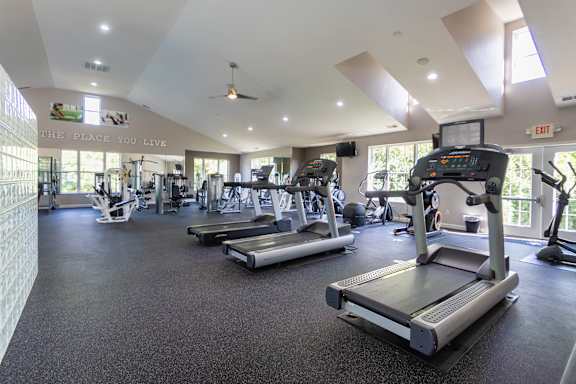 A gym with treadmills, elliptical machines, and other exercise equipment.