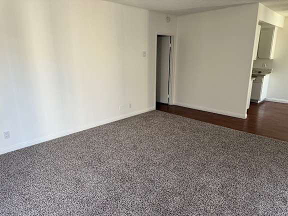 A room with a carpeted floor and a doorway leading to another room.
