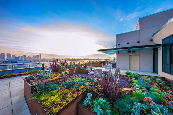 A rooftop garden with a city skyline in the background.
