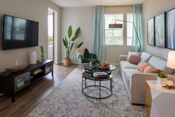 A living room with a grey couch, a coffee table, a TV, and a plant.