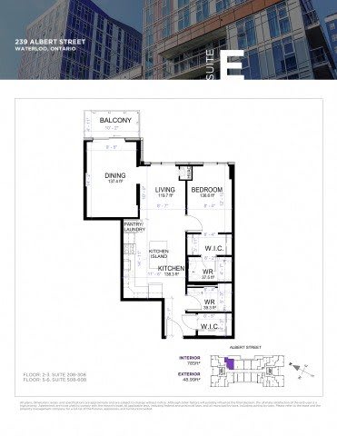 A floor plan for a suite at 239 Albert Street in Waterloo, Ontario is displayed.