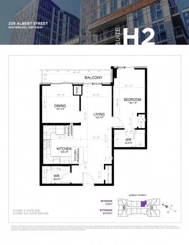 A floor plan for a suite in a building located at 239 Albert Street, Waterloo, Ontario.