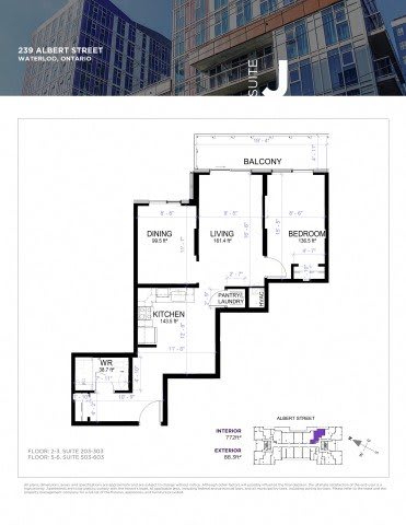 A floor plan for a suite at 239 Albert Street in Waterloo, Ontario is displayed.
