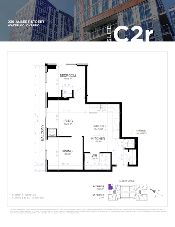 A floor plan for a suite at 239 Albert Street in Waterloo, Ontario.