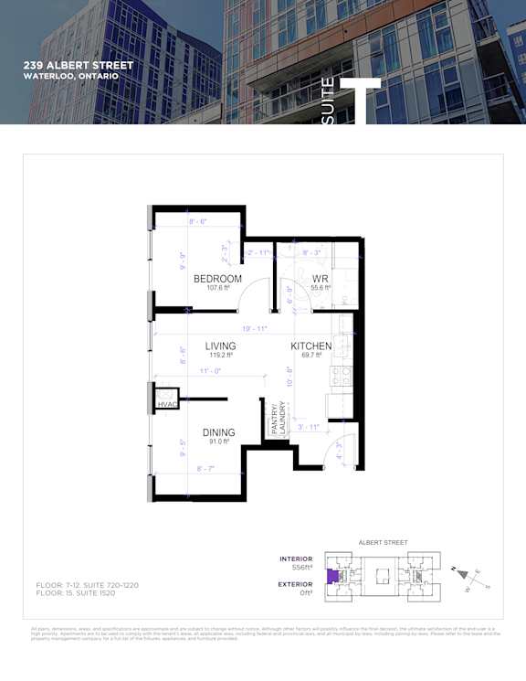 A floor plan for a suite at 239 Albert Street in Waterloo, Ontario is displayed.