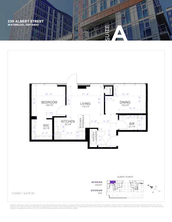 Floor plan for a suite in a building located at 239 Albert Street, Waterloo, Ontario.