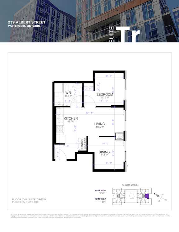 A floor plan for a suite at 239 Albert Street in Waterloo, Ontario, showing a bedroom, living room, kitchen, dining area, and bathroom.