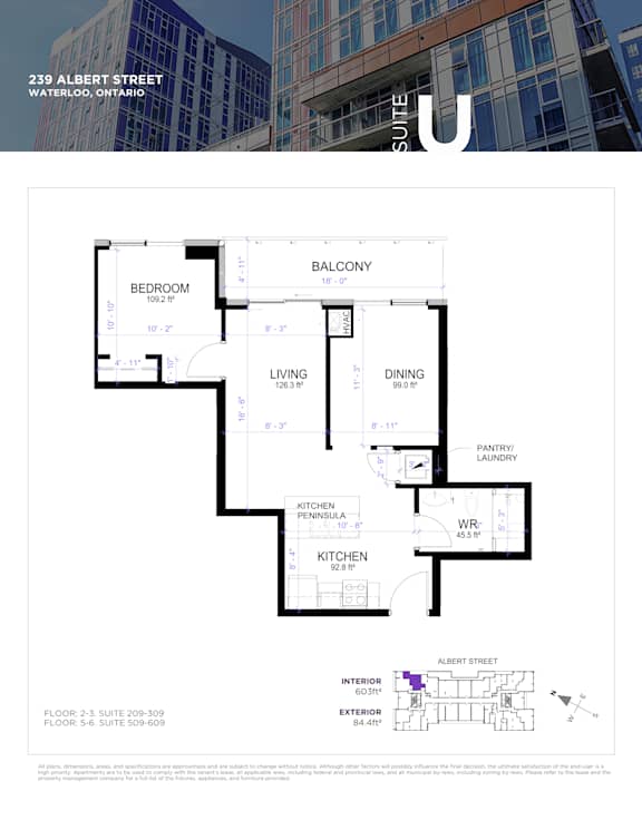 A floor plan for a suite at 239 Albert Street in Waterloo, Ontario.
