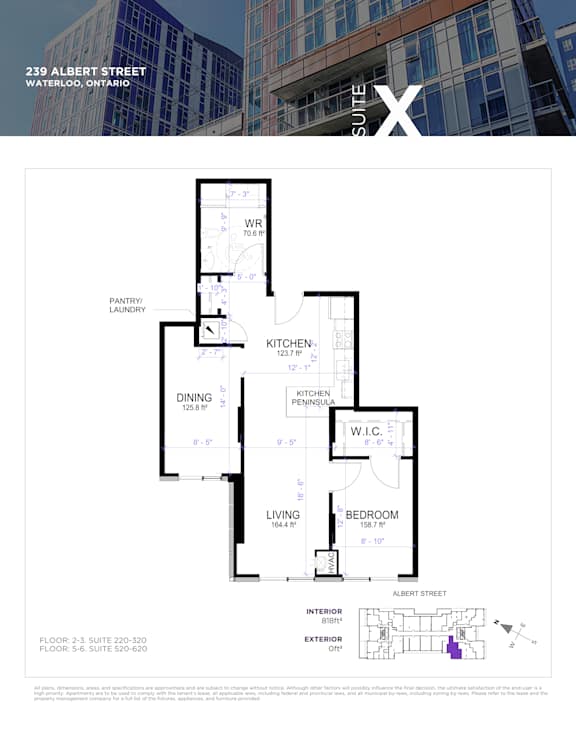 Floor plan for a suite at 239 Albert Street, Waterloo, Ontario.