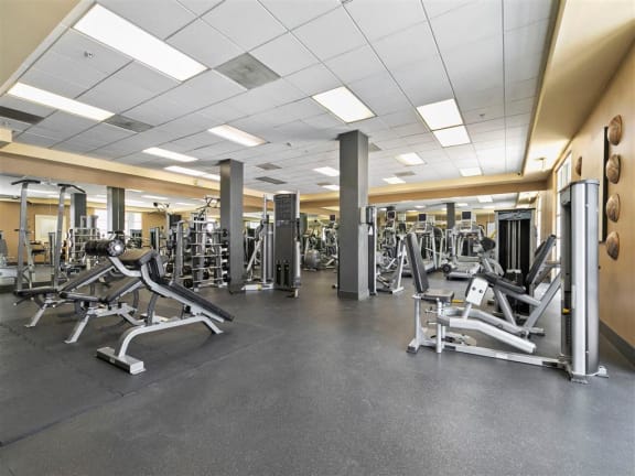 the gym is equipped with a variety of weights and cardio equipment