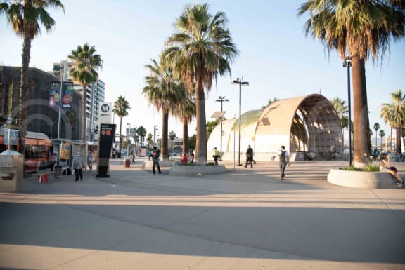a city street with palm trees and a large building
