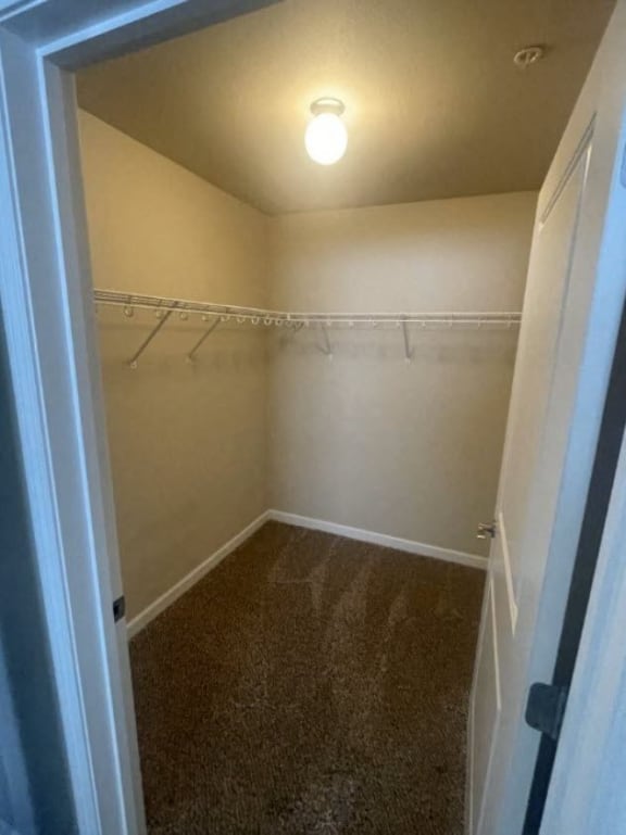 a empty bathroom with a closet and a light on the ceiling