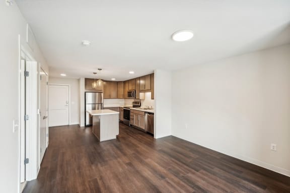 the preserve at ballantyne commons apartment living room and kitchen