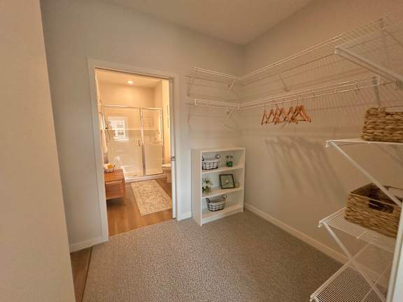 The Eloise Apartments Minneapolis, MN Closet