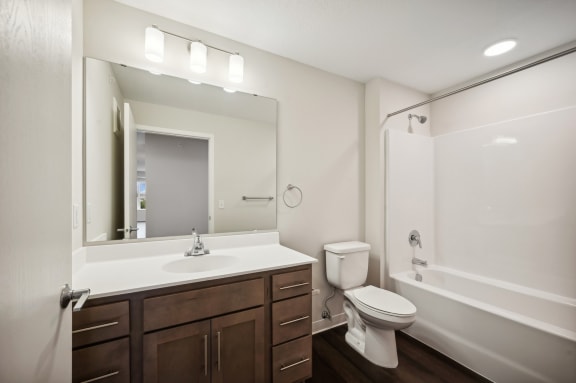 the preserve at ballantyne commons apartment bathroom with sink toilet and shower