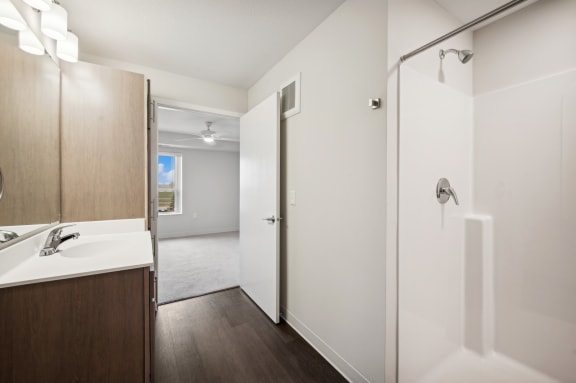 a bathroom with a shower and a sink and a mirror