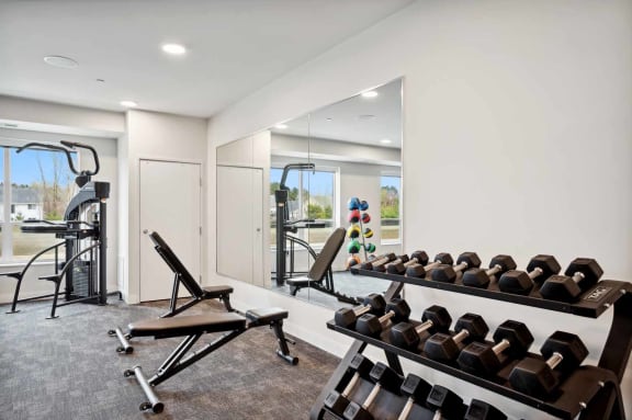 a gym with weights and a mirror in a home gym