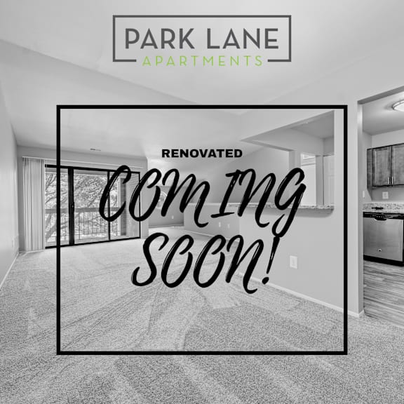 Coming Soon 38 at Park Lane Apartments, Michigan