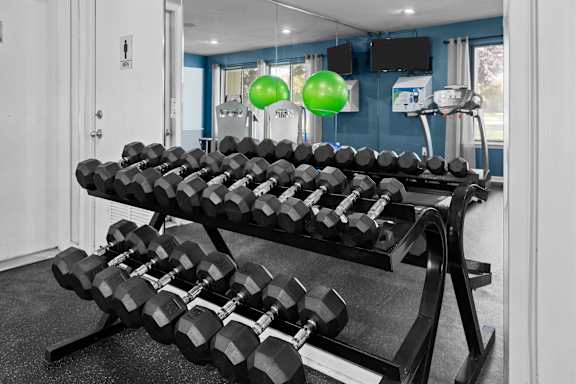 Updated 24-hour fitness center at Three Oaks Apartments in Troy, MI.