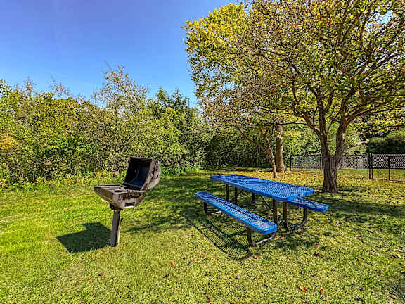 Spacious outdoor picnic area at Three Oaks Apartments in Troy, MI.