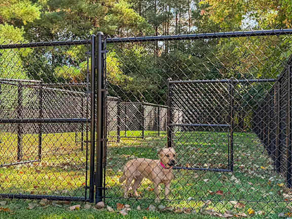 Pet-friendly apartments at Three Oaks Apartments in Troy, Mi.