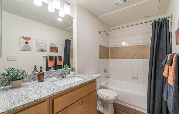 a bathroom with a sink and a toilet and a tub