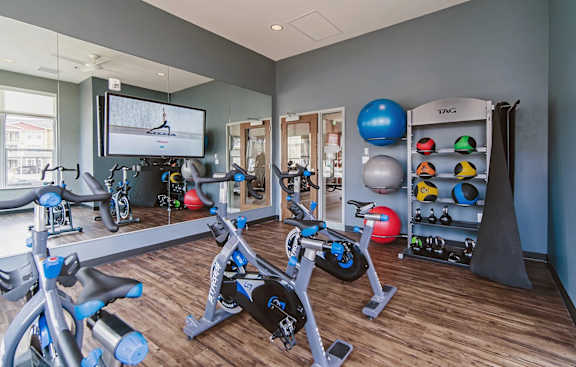 A home gym with a variety of exercise equipment including a stationary bike, a treadmill, a rowing machine, and a TRX suspension trainer.