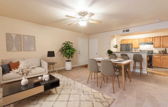 Dominium-Fulton Pointe-Virtually Staged Apt Overview