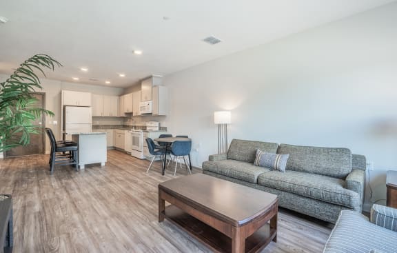 Modern Living Room at Osprey Park 62&#x2B; Apartments, Kissimmee