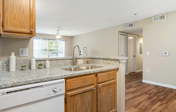 Model Kitchen at Pinewood Apartments, Texas