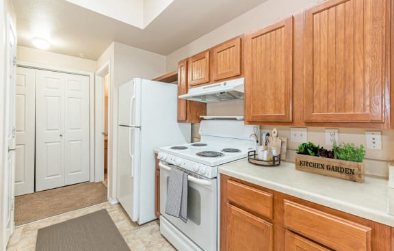 Dominium-The Cesera-Kitchen at The Cesera 55&#x2B; Apartments, Texas, 75040