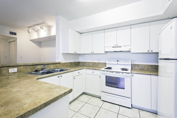 Village of Delray_Kitchen