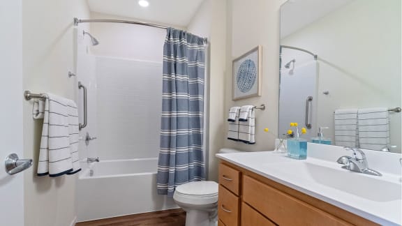 Bathroom at Briar Park 55&#x2B; Apartments, Georgia